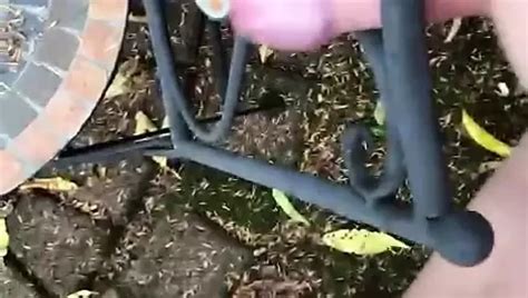 Balu Turbo S Porn Videos And Reels Nude Photos And Bio On Xhamster