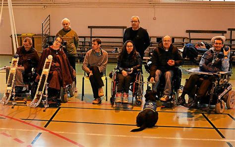 Handisport La boccia et la sarbacane désormais au gymnase Hèlene