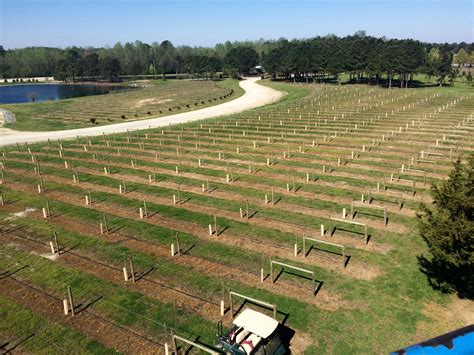 Duplin Winery Visit Us Artofit
