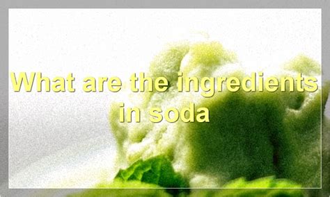 Soda: Everything You Need To Know | Food Readme