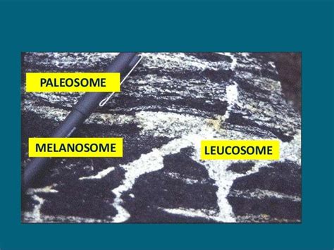 Migmatite and metamorphism