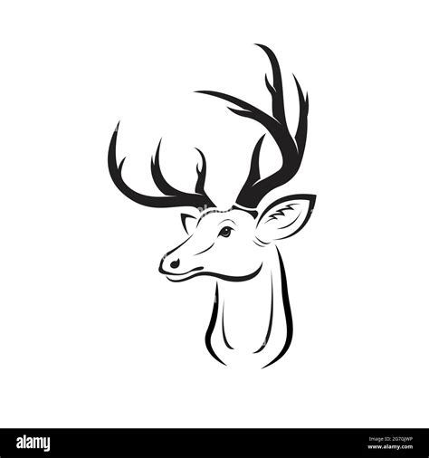 Motif Vectoriel De T Te De Cerf Sur Fond Blanc Illustration