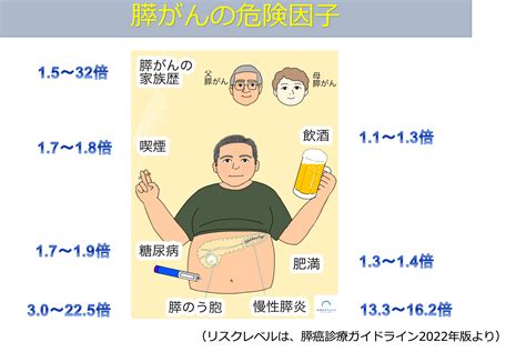 膵がんの危険因子：どのような人が膵がんになりやすいのでしょうか？｜みゆきクリニック