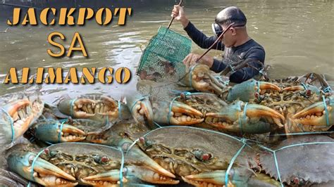 Catching Mud Crab Ayos Ang Huli Namin Sa Ilog Youtube