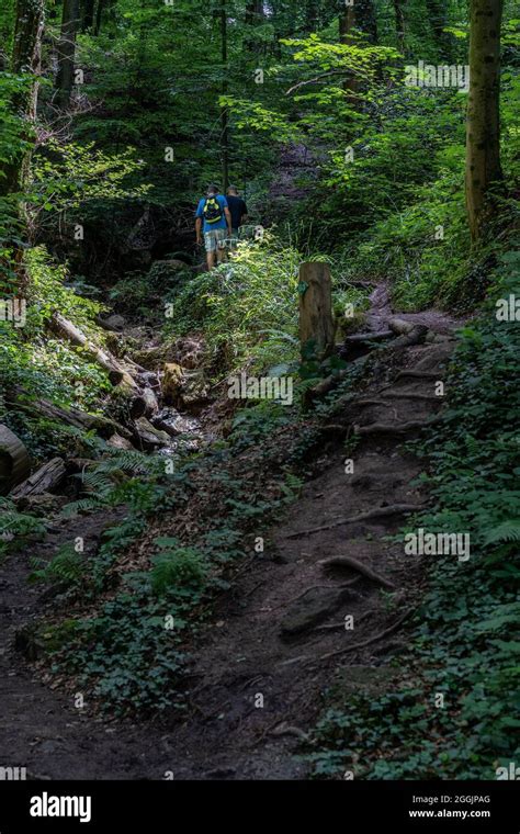 Europe Germany Baden Wuerttemberg Swabian Franconian Forest