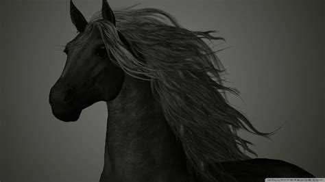 Dark Horse Hd Wallpapers Top Free Dark Horse Hd Backgrounds