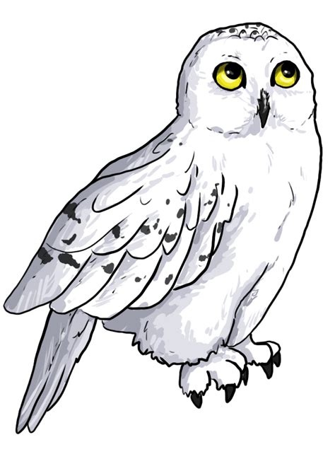 Hedwig by painted-flamingo on DeviantArt