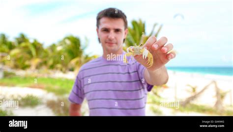 Close Up Of Man S Hand Holding Crab Stock Photo Alamy