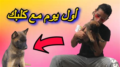 اشترينا كلب جديد مالينوا 🐕 وهاكيفاش تعامل مع كلبك أول يوم Youtube