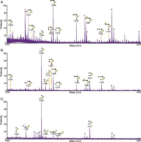 Maldi Tof Ms Spectra Of O Glycans From The Thyroid Trachea Of