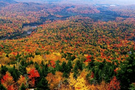 Upstate New York Fall Foliage 2024 Predictions - Kania Marissa