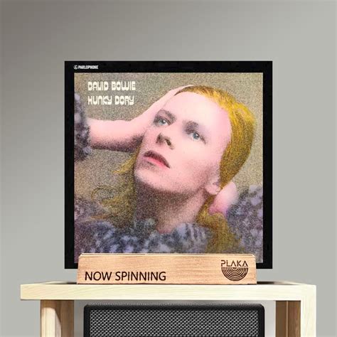 David Bowie Hunky Dory Vinyl LP Plaka Hobbies Toys Music Media