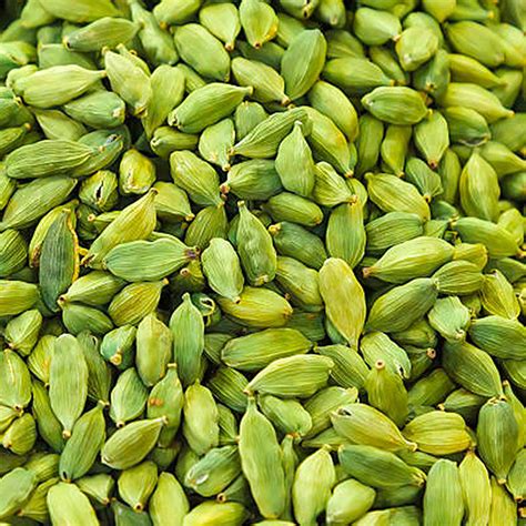 Green Cardamom Mm Wholesale Exporter Traders Kerala India