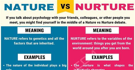 Nature Vs Nurture When To Use Nurture Vs Nature With Useful