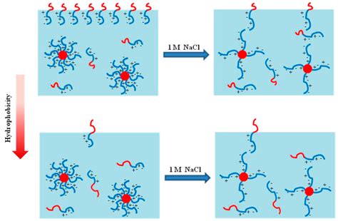 Polymers Free Full Text Surface Active To Non Surface Active