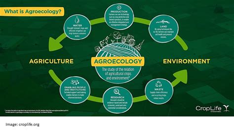 Sustainable Innovative Agricultural Systems In Focus Agroecology