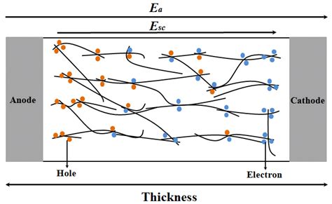 Schematic Of The Internal Electric Field Formed By The Accumulation Of