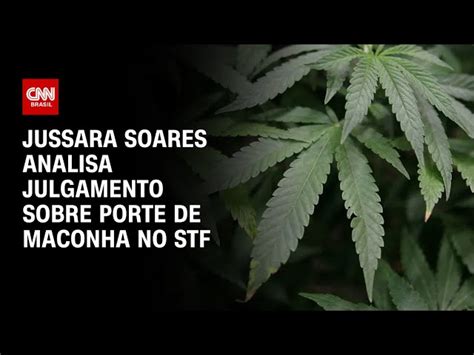 Stf Suspende Julgamento Da Descriminalização Do Porte De Maconha Veja Como Votou Cada Ministro