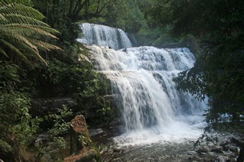 Liffey Falls Deloraine UPDATED 2020 All You Need To Know Before You