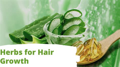 Herbs For Hair Growth Thrive