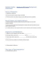 Understanding Energy Metabolism And The ATP Cycle Course Hero