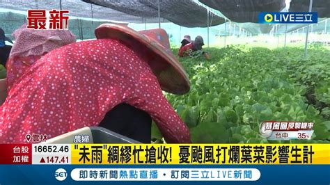 颱風逼近農民心驚驚！未雨綢繆忙搶收 憂颱風打爛葉菜影響生計｜記者 陳逸潔 廖宜德｜【live大現場】20230529｜三立新聞台