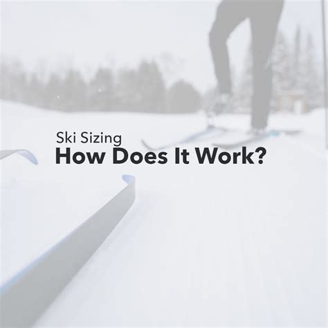 How To Size Cross Country Skis — Wild Rock Outfitters