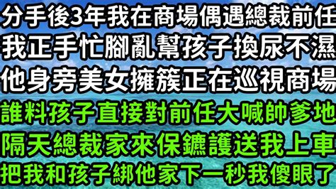 分手後三年我在商場偶遇總裁前任，我正手忙腳亂幫孩子換尿不濕，他身旁美女擁簇正在巡視商場，誰料孩子直接對前任大喊帥爹地，隔天總裁家來保鑣護送我