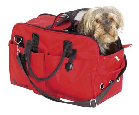 Sac De Transport Pour Chien Moto Chien Nouvelles