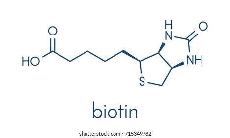 Biotin Structure And Function - Brain Mind Article