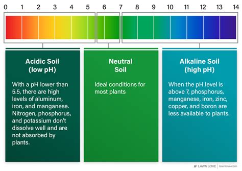 How To Read A Soil Test Report