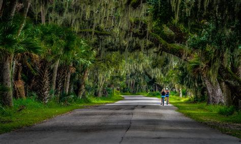 Bradenton Beach Pier - Just Enough Focus