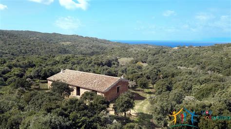 Top Properties in Sardinia, Houses, & Apartments For Sale - Sardinia, Italy