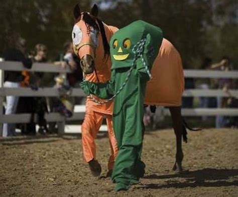 The 20 Most Miserable Horses In The World Horse Halloween Costumes