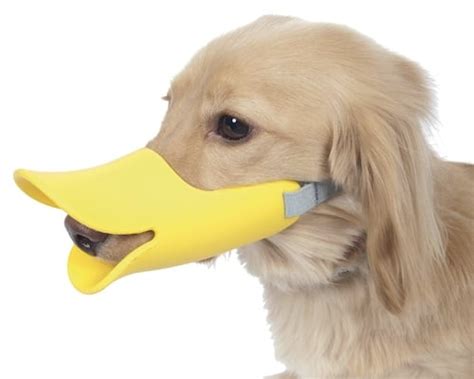 Pet Supplies Dog Muzzle Quack Quack Face In Face Red Oppo Where Japan F