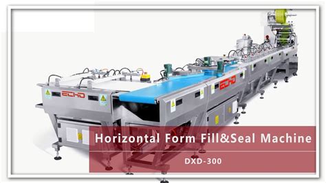 Horizontal Form Fill And Seal Machine Dxd 300 Echo Machinery Youtube