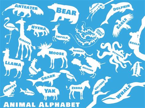 English Animals Zoo Alphabet Letter Vector Images Over 5400