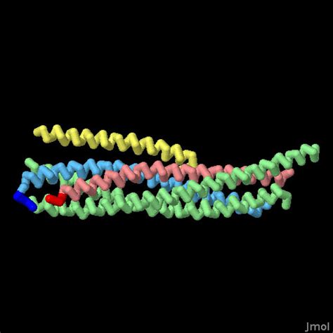 Snare Protein