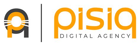 Pisiq Digital Agency Web Tasarım Sosyal Medya Reklamı Mobil Uygulama
