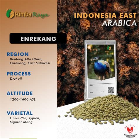 Jual Arabica Green Bean Enrekang Dryhull Process Kg Biji Kopi Mentah