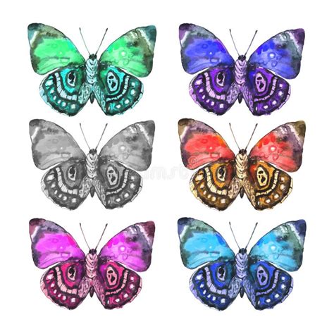 Collection Of Colorful Butterflies Stock Vector Illustration Of