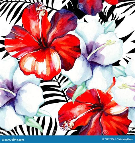 Teste Padrão Da Aquarela Do Hibiscus Folhas Tropicais Preto E Branco