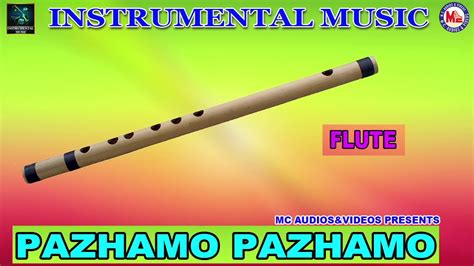 Carnatic music instrumental flute - pbmolqy