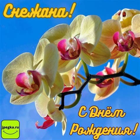 Открытки «Снежана, С Днём Рождения»: 50 картинок