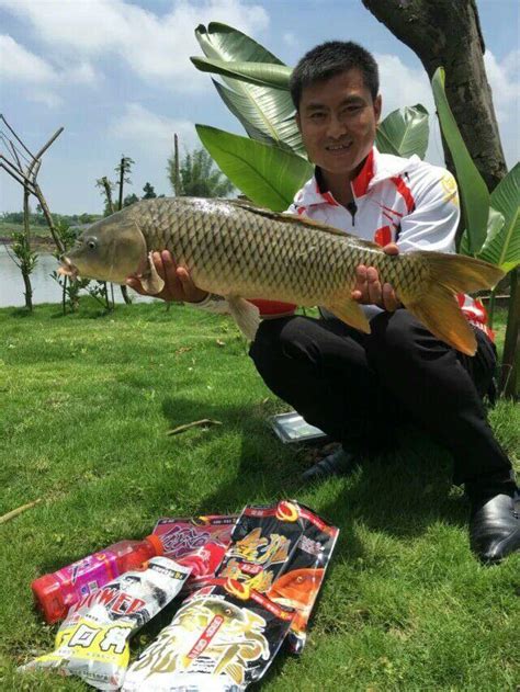 鯽魚鯉魚草魚作釣用餌差異性與共性 每日頭條