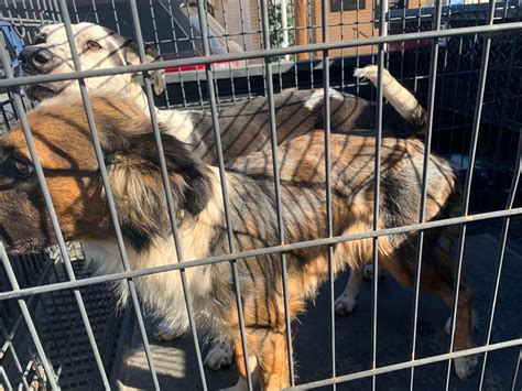 Visitors enjoy Robert Lee Texas for its quiet desert charm 12