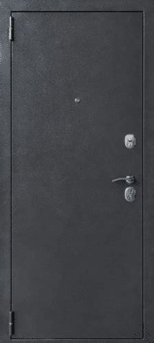 Входные двери - купить недорого в СПб | Интернет-магазин hordoors.ru