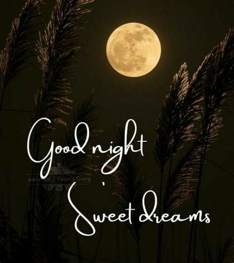 Good Night Sweet Dreams Good Night Sweet Dreams Good Night