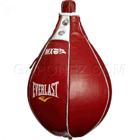 Red Everlast Punching Bag