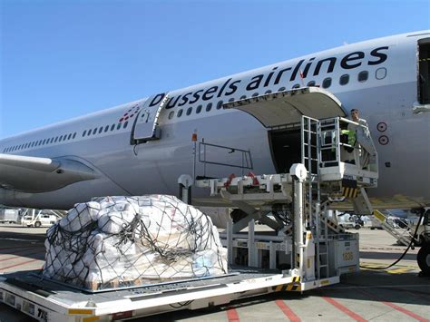 Lufthansa Cargo Va Commercialiser Le Fret De Brussels Airlines AAF